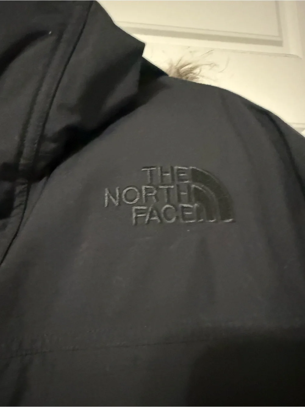 The North Face Men's Black Insulated Hooded Puffer
